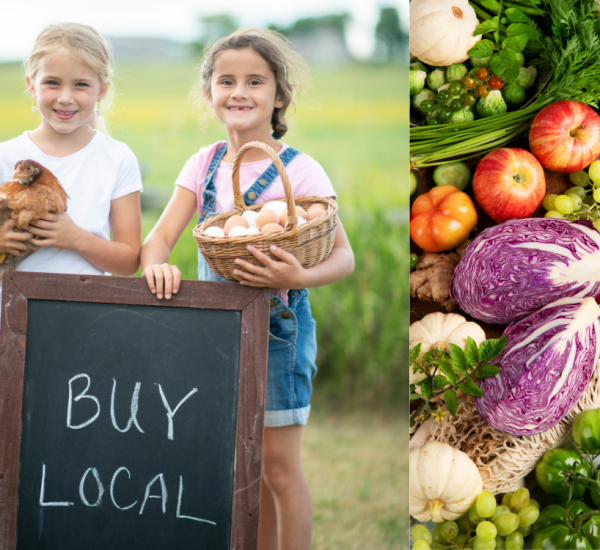 Strategy360 Ltd was commissioned by a Local Authority to research local food supply and improve public procurement for local producers.