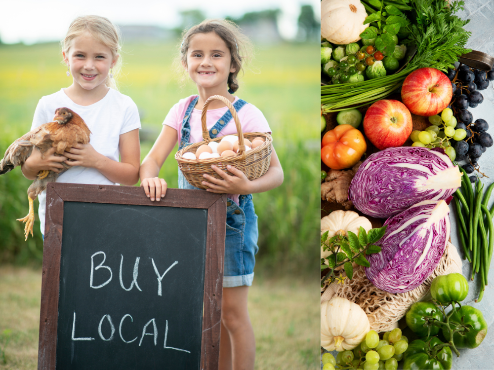 Strategy360 Ltd was commissioned by a Local Authority to research local food supply and improve public procurement for local producers.