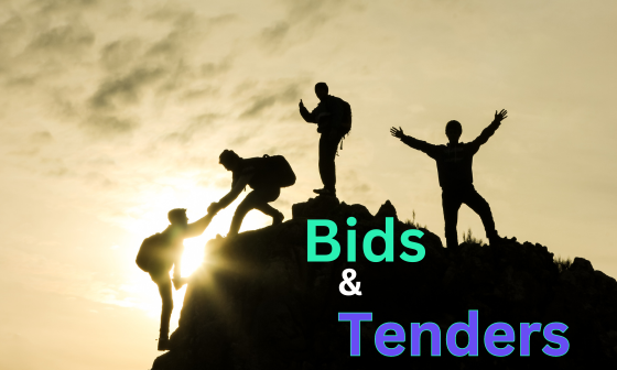 Strategy 360 Ltd Bidwriting and Tenders Writing aims to Win!