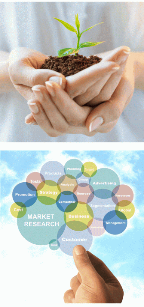 Strategy360 services