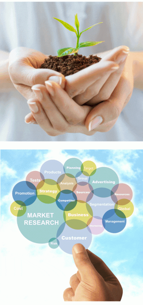 Strategy360 services